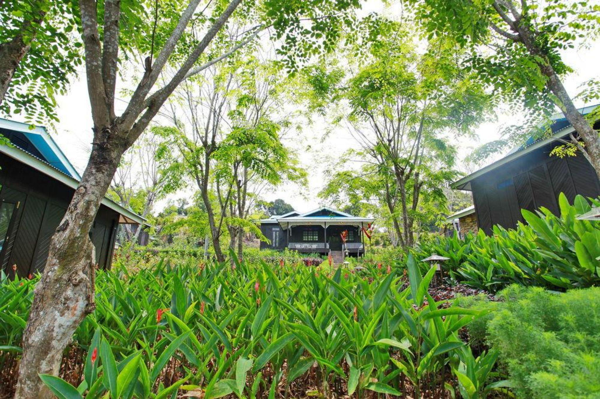 The Orchard Resort & Spa Melaka I World Spa Awards Winner I Free Access To Outdoor Spa Pool Lubuk Cina Dış mekan fotoğraf